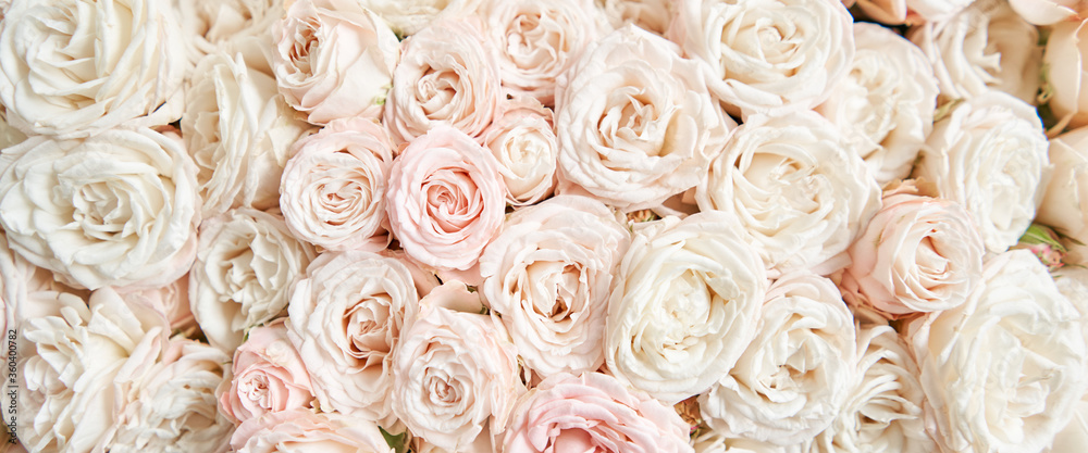 Floral carpet or Wallpaper. Background of mix of flowers. Beautiful flowers for catalog or online store. Floral shop and delivery concept. Top view. Copy space Floral carpet or Wallpaper. Background of mix of flowers. Beautiful flowers for catalog or online store. Floral shop and delivery concept. Top view. Copy space