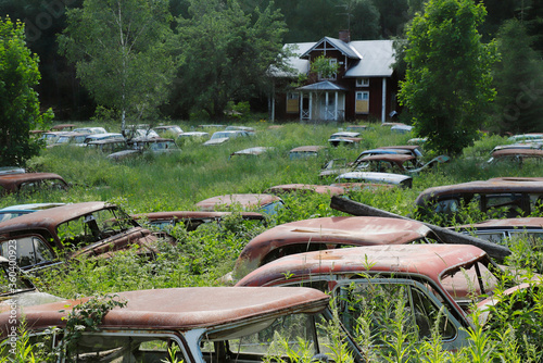 Car cemetery