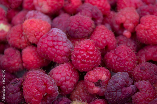 Ripe juicy raspberries. A lot of pink berries, maroon vetas. Delicious background, postcard.