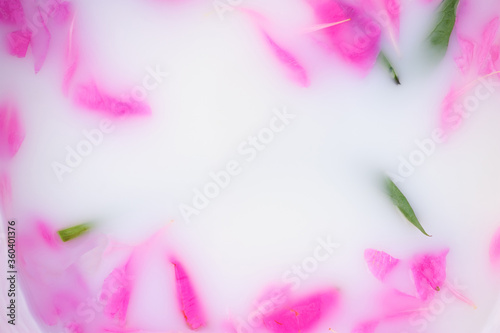 Fototapeta Naklejka Na Ścianę i Meble -  Petals of peonies in a milk bath. Place for text.