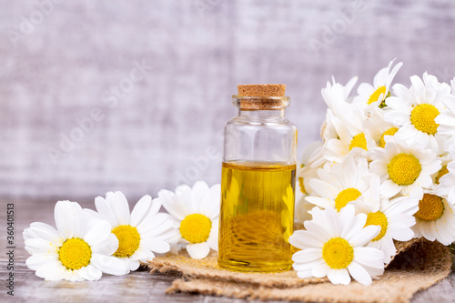 Essential oil in glass bottle with fresh chamomile flowers  beauty treatment.