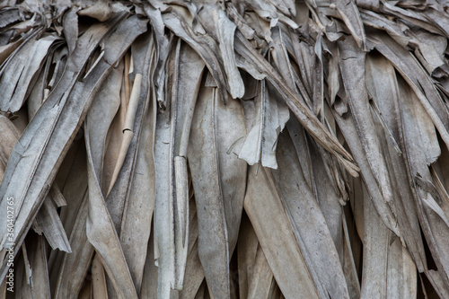 filled frame close up background wallpaper shot of a grey beige dry banana leaves thatched wall forming beautiful patterns and shapes