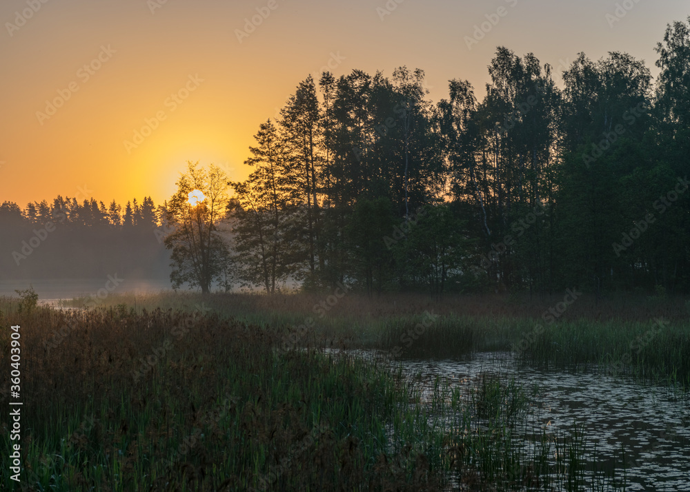 morning landscape with lake, green grass in the foreground, sunrise on the lake, summer