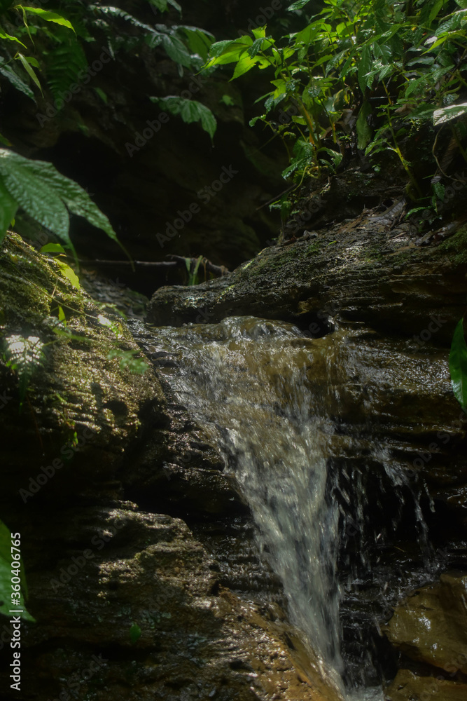 adventure in nature and flowers adventure in nature and flowers