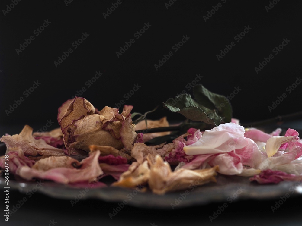 dried flower on a black background dried flower on a black background
