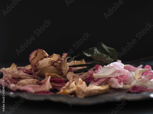 dried flower on a black background