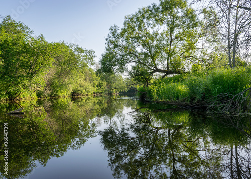 summer landscape with a small forest river  low river calm  summer wild river reflection landscape.