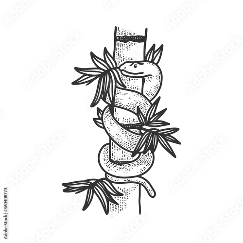 snake in bamboo thickets sketch engraving vector illustration. T-shirt apparel print design. Scratch board imitation. Black and white hand drawn image.