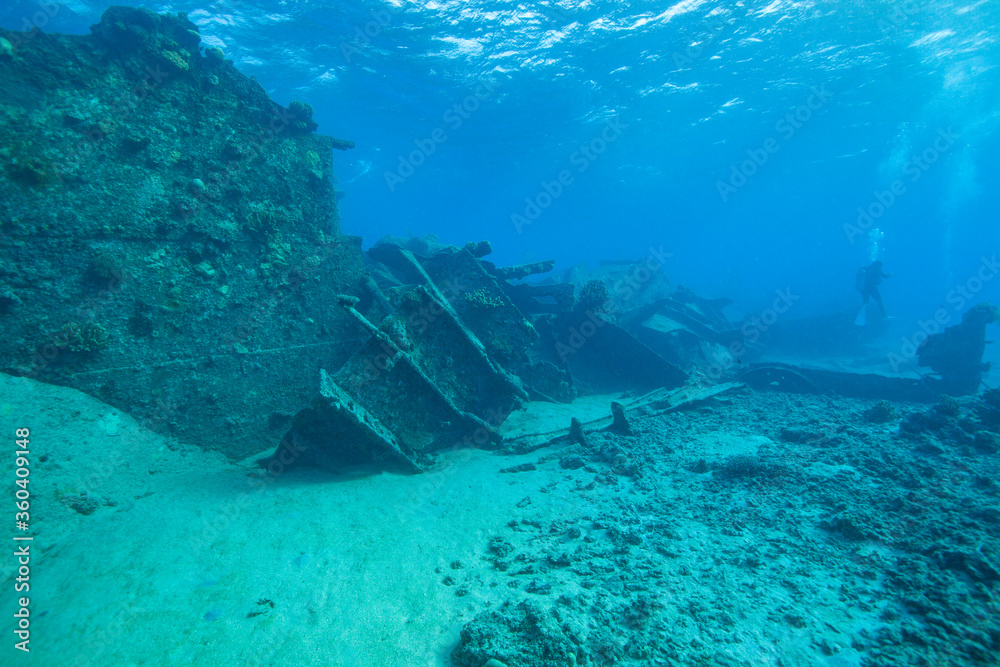 Fototapeta premium scuba diver and sunken ship