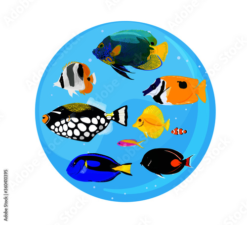 Set of tropical fish (Clown triggerfish, Palette surgeonfish, Blue faced angelfish, Pacific double-saddle butterflyfish, Onespot Rabbitfish, Acanthurus achilles, Achilles tang, Yellow tang..etc)