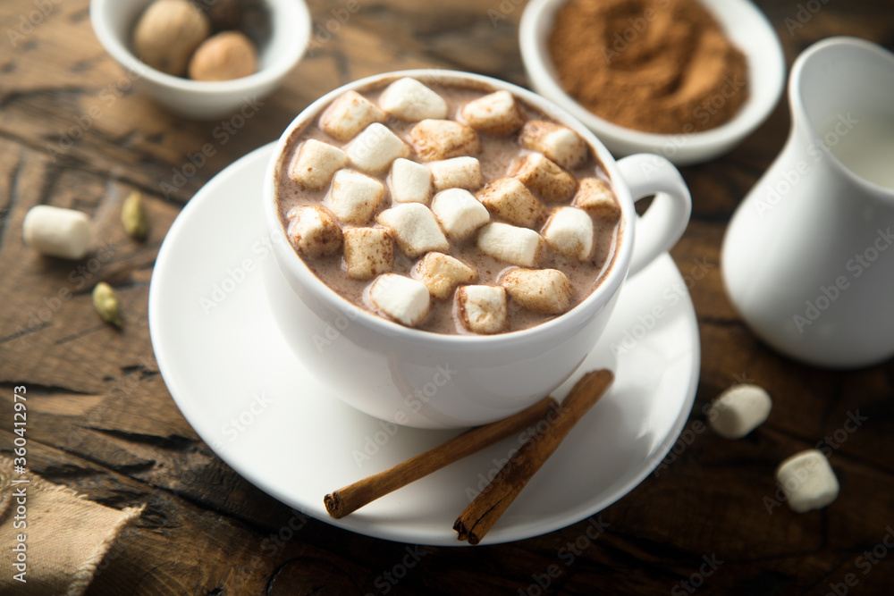 Traditional hot chocolate with marshmallow