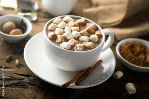 Traditional hot chocolate with marshmallow