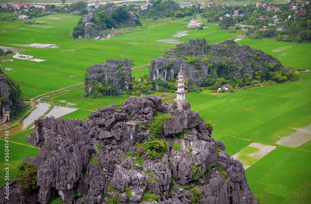 Rice plantations in Vietnam with limestone boulders