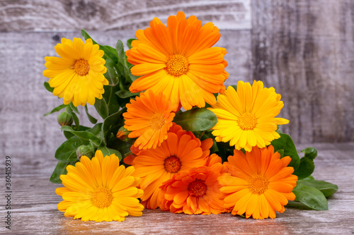 Calendula officinalis. Marigold flower with leaf isolated