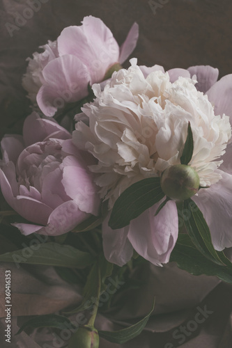 Fototapeta Naklejka Na Ścianę i Meble -  bouquet of beautiful delicate light pink and white peonies flowers close up