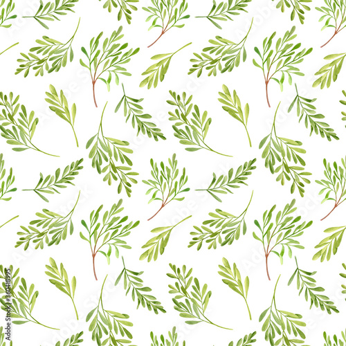 Fototapeta Naklejka Na Ścianę i Meble -  Seamless pattern with watercolor tea tree leaves. Green foliage illustration. Twigs and herbs drawing isolated on white background. Tender plants for cosmetics, package, textile, cards, decoration
