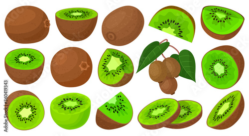 Kiwi vector cartoon set icon. Vector illustration fruit on white background. Isolated cartoon set icon kiwi.