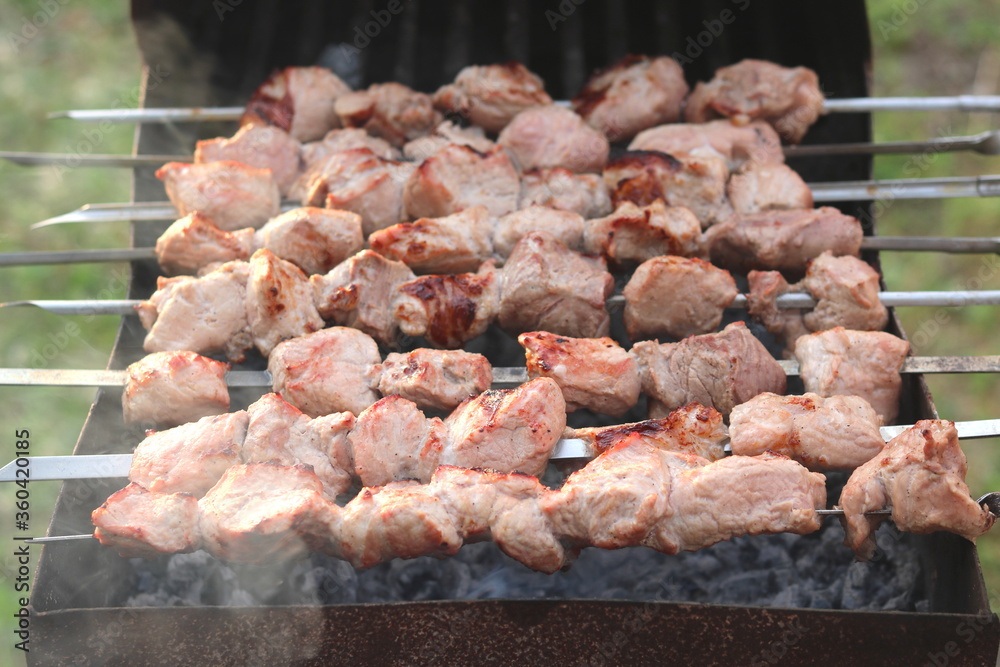 Cooking meat on skewers in barbecue on picnic