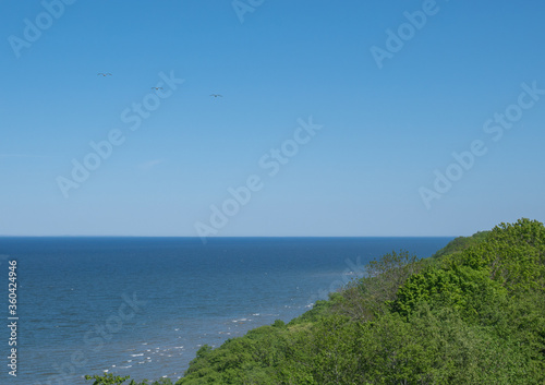 Baltic sea coast © photoexpert