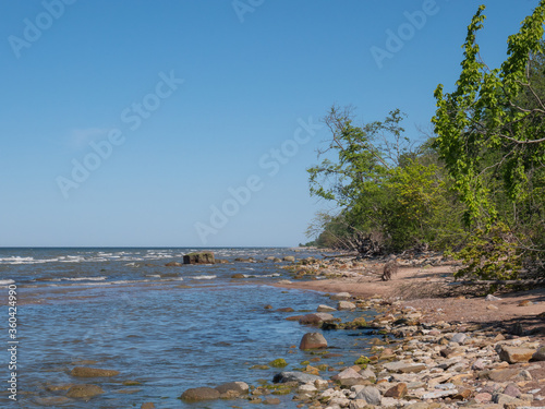 Baltic sea coast photo