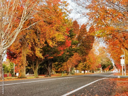 The colorful Autumn in New Zealand