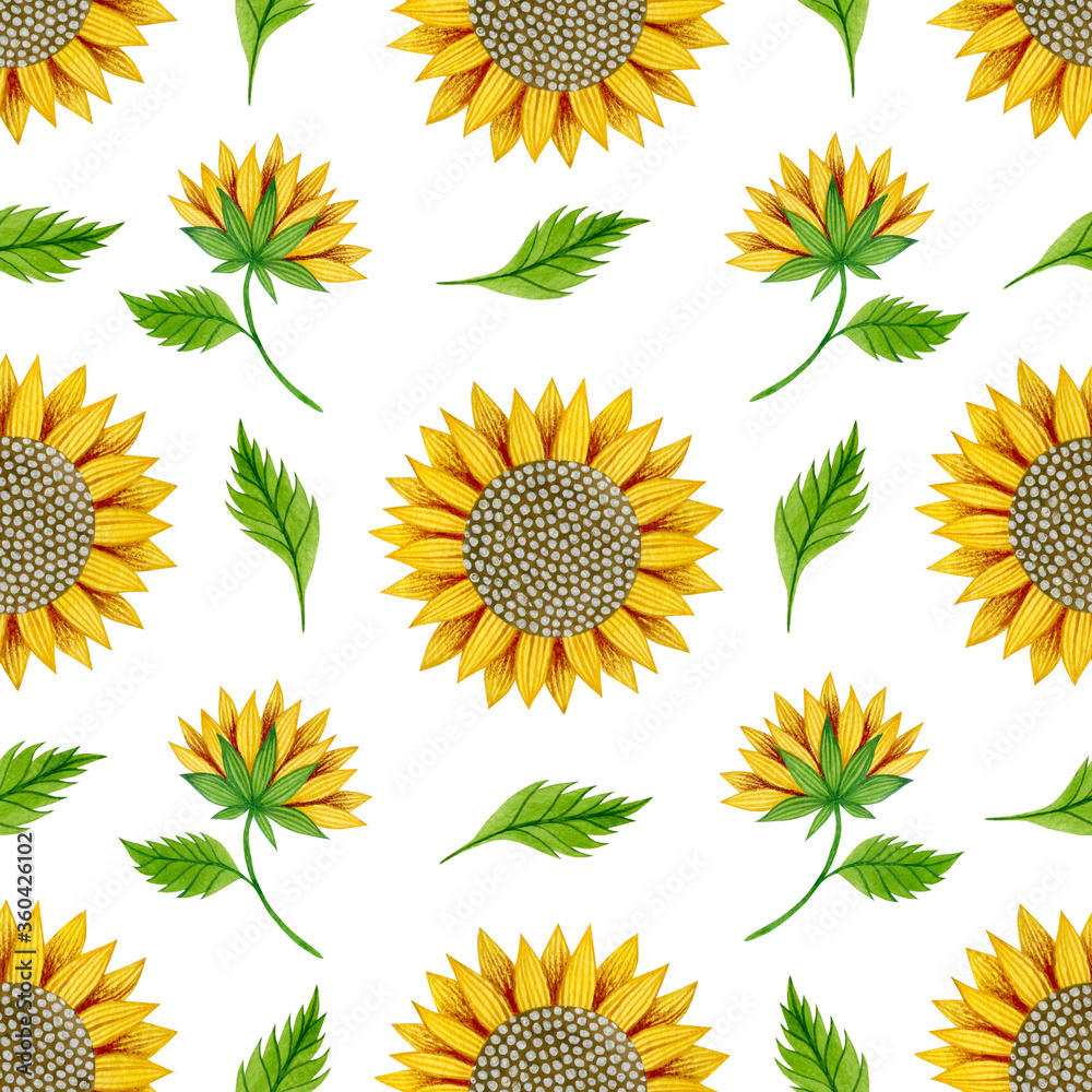 Watercolor seamless pattern of sunflowers and leaves on a white background.