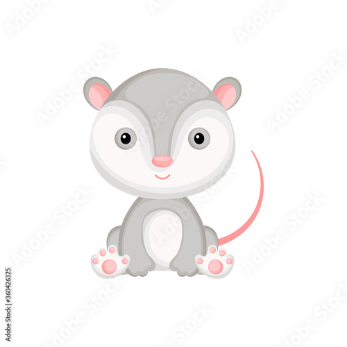 Cute baby opossum sitting isolated on white background. Adorable animal character for design of album, scrapbook, card, invitation on baby shower, party. Flat cartoon colorful vector illustration.