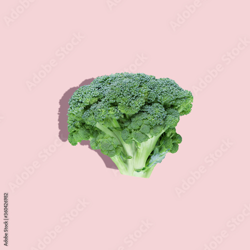 Broccoli on a pink background with hard light. Square creative layout. Green vegetables, healthy and wholesome nutrition, diet, vegetarianism.