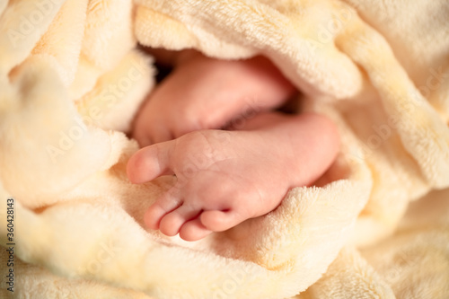 Legs Of Newborn Baby In Plaid Close Up.