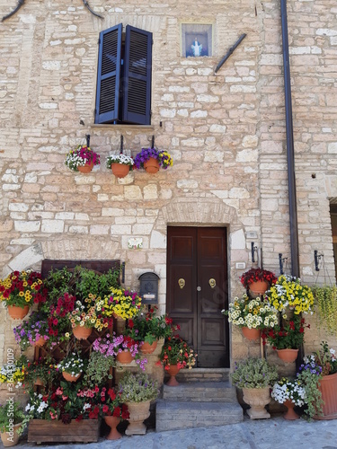 flowers in the street