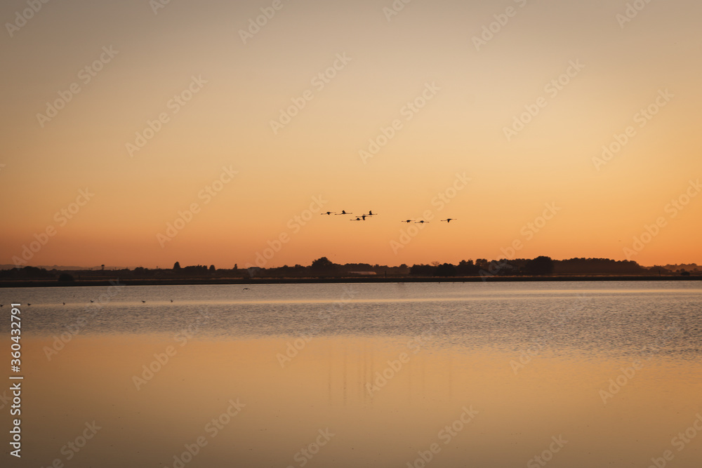 Naklejka premium sunset over the river