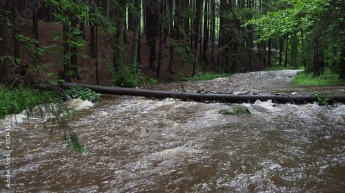 Czech wild river Doubrava in Czech Republic. Valley Doubrava near Chotebor. photo