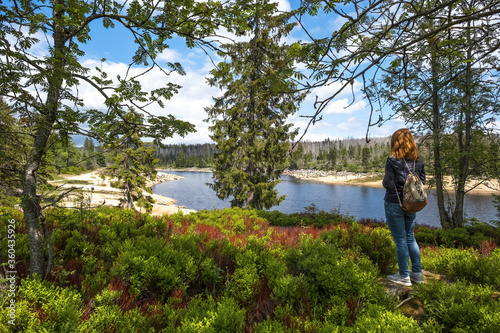 National Park Harz in Germany