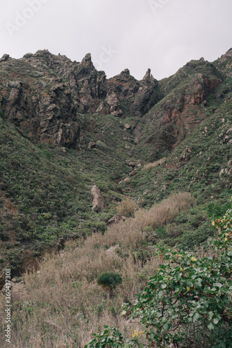 Aerial View of Tenerife overlooking a green mountain valley with a ocean view