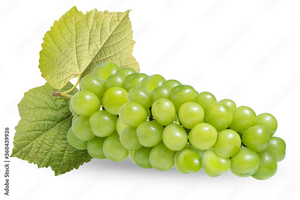 Fresh Green grape with leaves isolated on white. Shine Muscat Grape on white With clipping path. Fresh Green grape with leaves isolated on white. Shine Muscat Grape on white With clipping path.