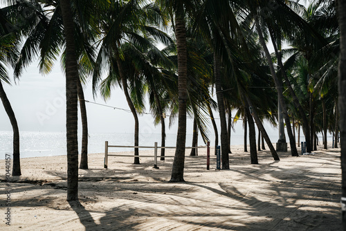 Beautiful tropical summer beach with many coconut tree in summer. © THESHOTS.CO