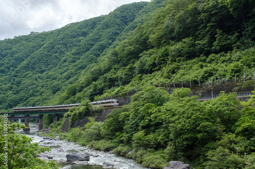 新緑の飛騨川沿いをゆくローカル列車