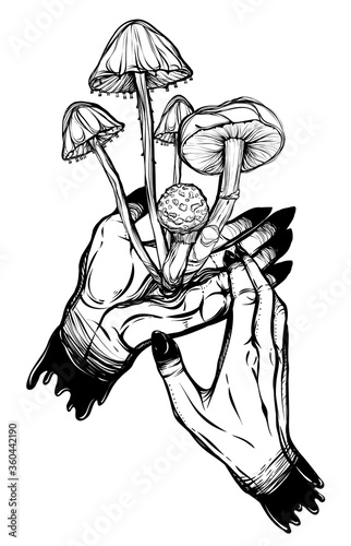 Vector illustration. Mushrooms growing from the hand, mysticism, prints on T-shirts, tattoos. Handmade. background white