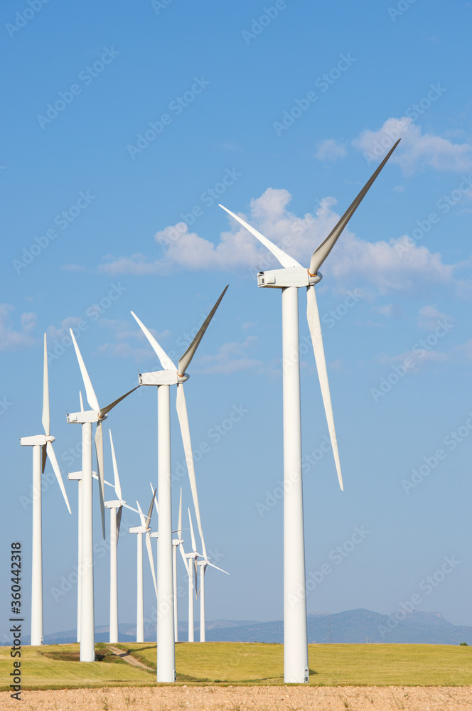 Fototapeta premium Alternative energy concept