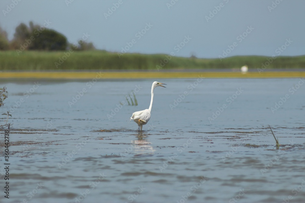 Vylkove, Ukraine: The Danube Biosphere Reserve