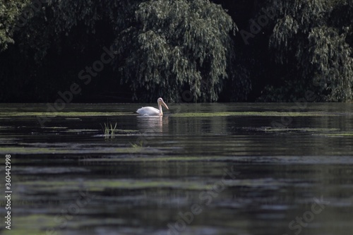 Vylkove  Ukraine  The Danube Biosphere Reserve