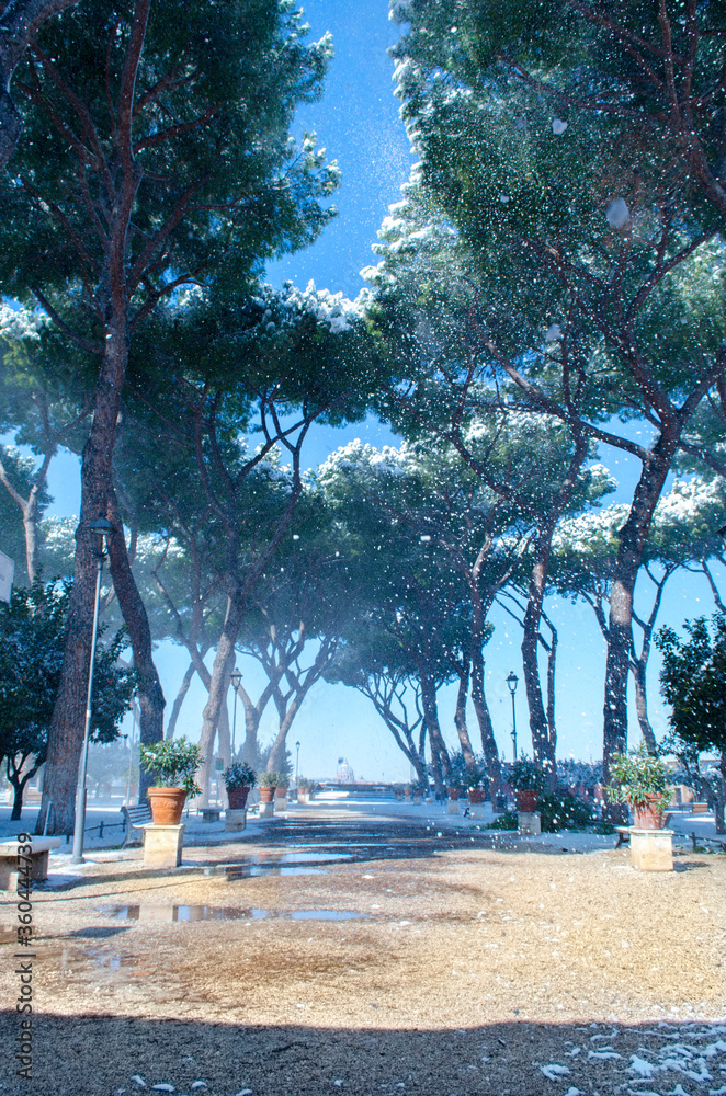 Giardino degli Aranci con vista del Vaticano, Roma Giardino degli Aranci con vista del Vaticano, Roma