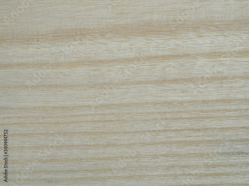 Holzmaserung Blauglockenbaum