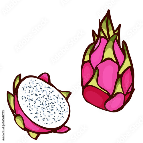 Pink dragon fruit. pitaya for healthy lifestyle. whole fruit and half. Exotic fruits on isolated on white. Hawaiian food. Healthy eating Trendy vector illustrated summer fruit. Beautiful design.