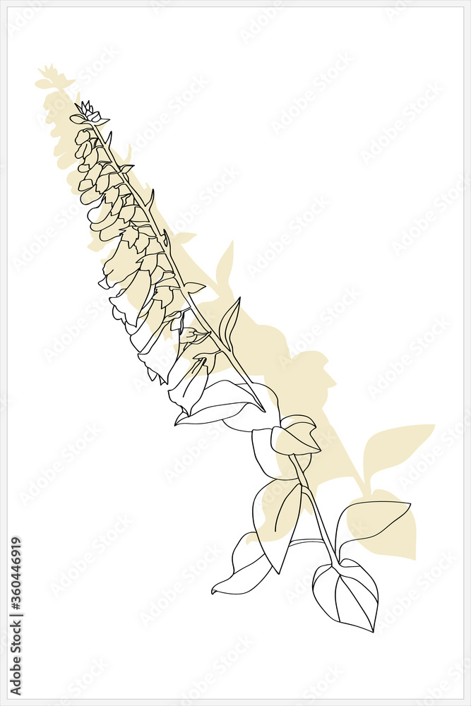 Meadow flowers.Vector image. Pattern for advertising and textile companies.