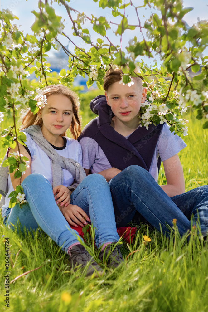 Fototapeta premium A young couple a young man and a girl sit on a blooming Apple tree