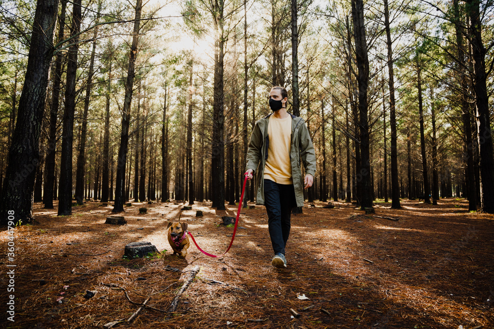Fototapeta premium Caucasian male walking the dog during covid19 pandemic with mask on, alone
