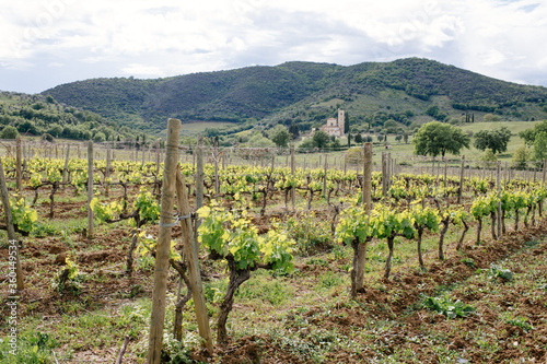 Ancient medieval magnificent abbey of San Antimo in picturesque Tuscany