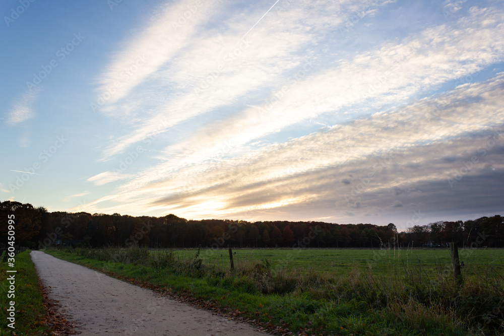 Autumn sunset with clouds over meadow with forest in the background in Flanders, Belgium