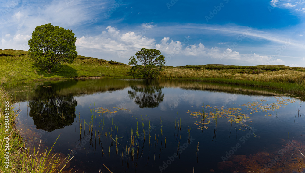 Small circular lake beside Loughareema, with water reflections and Damselflies, Ballycastle, Causeway coast and glens, County Antrim, Northern Ireland